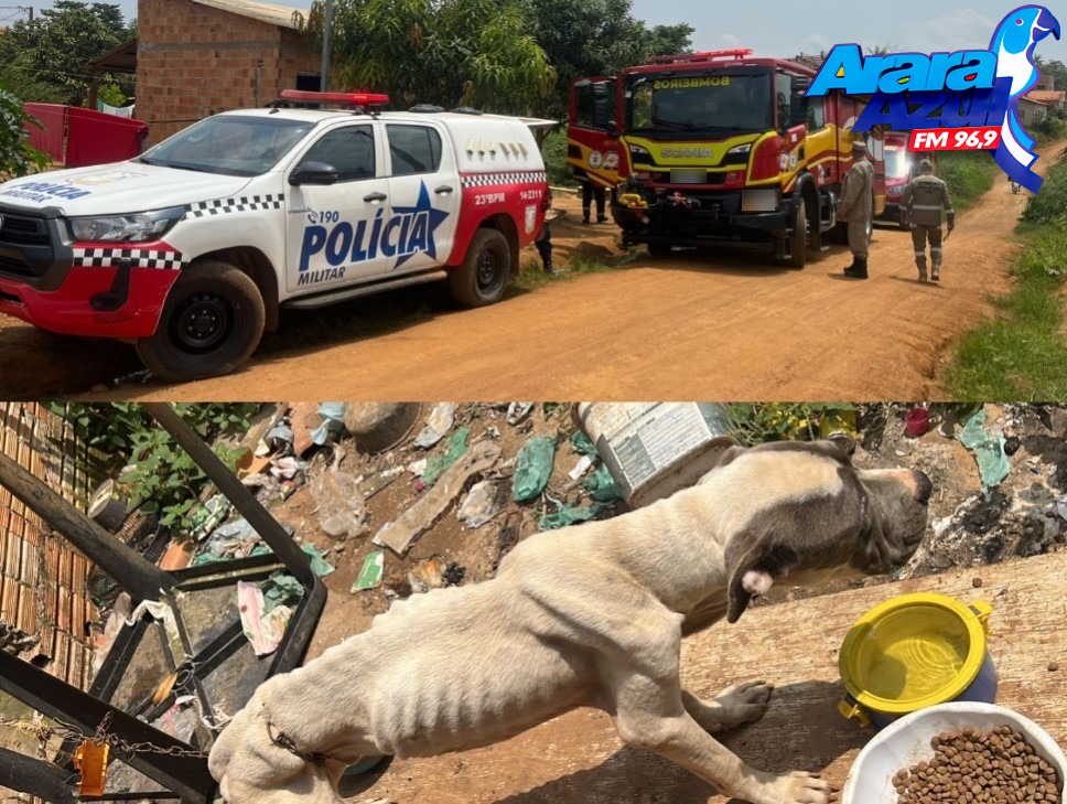 Polícia Militar e Corpo de Bombeiros resgatam Pitbull vítima de maus-tratos em Parauapebas