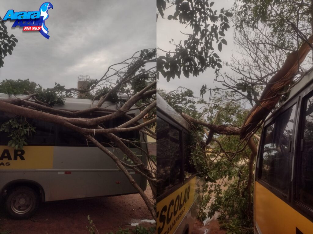 Ventania causa estragos na comunidade Palmares 2 em Parauapebas; ruas , transporte escolar e energia foram afetados