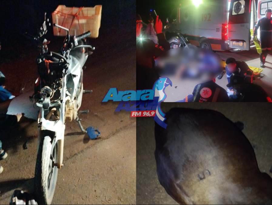 Acidente envolvendo moto e animal deixa duas pessoas feridas na PA-275 em Parauapebas